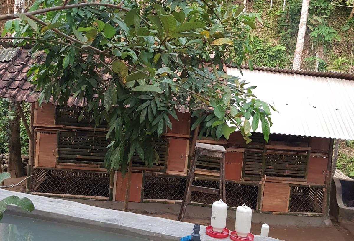 Foto 5